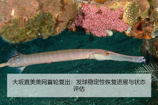 da-ban-zhi-mei-mei-wang-shou-lun-fu-chu-fa-qiu-wen-ding-xing-hui-fu-jin-zhan-yu-zhuang-tai-ping-gu-3-153.jpg