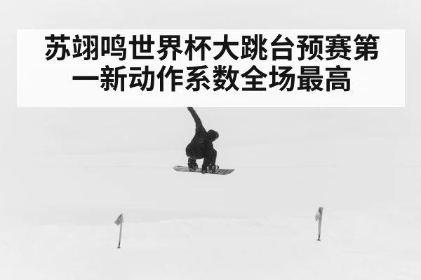 苏翊鸣世界杯大跳台预赛第一新动作系数全场最高